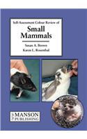 Small Mammals