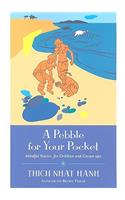 A Pebble for Your Pocket