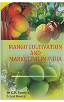 Mango Cultivation And Marketing In India