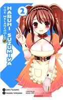 The Melancholy of Haruhi Suzumiya, Vol. 2 (Manga)