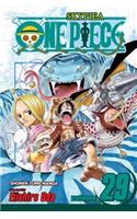 One Piece, Vol. 29