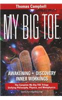 My Big TOE Awakening Discovery Inner Workings