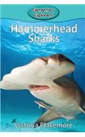 Hammerhead Sharks