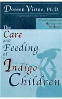 The Care and Feeding of Indigo Children