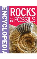 Mini Encyclopedia - Rocks & Fossils