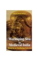 Worshiping Siva in Medieval India