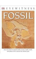 Eyewitness Fossil