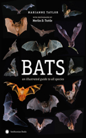 Bats