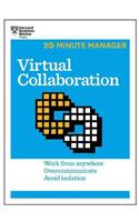 Virtual Collaboration