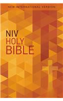 NIV, Value Outreach Bible, Paperback