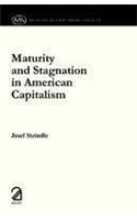 Maturity and Stagnation in American Capitalism