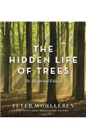 Hidden Life of Trees