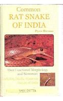 The Common Rat Snake of India: Their Funnctional Morphology and Bionomics