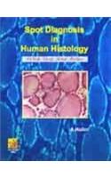 Spot Diagnosis in Human Histology