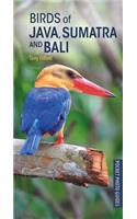 Birds of Java, Sumatra and Bali