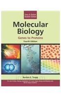 Molecular Biology 4e