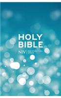 NIV Popular Hardback Bible