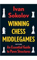 Winning Chess Middlegames