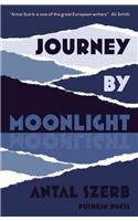 Journey by Moonlight