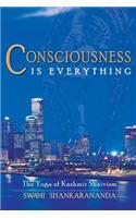 Consciousness is Everything