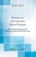 Report on the Genesee River Storage: By the State Engineer and Surveyor of the State of New York (Classic Reprint)