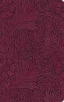 ESV Large Print Value Thinline Bible (Trutone, Raspberry, Floral Design)