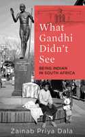 What Gandhi Didn't See: Being Indian in South Africa (10 September 2018) Hardcover â€“ 10 Sep 2018