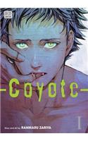 Coyote, Vol. 1