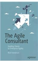 Agile Consultant