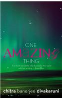 ONE AMAZING THING