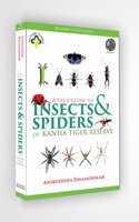 A Field Guide to Insects & Spiders of Kanha Tiger Reserve