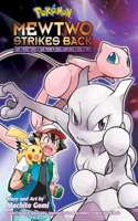 Pokémon: Mewtwo Strikes Back--Evolution