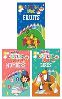 Colouring Books - 2 (Set of 3 Books) - Fruits, Numbers, Birds