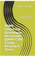 AWS Certified Developer Associate (DVA-C01) Exam - Practice Tests