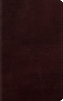 Large Print Personal Size Bible-ESV