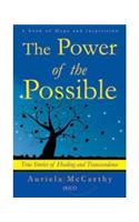 The Power Of The Possible