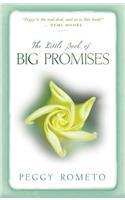 Little Book of Big Promises