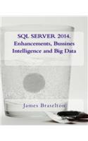 SQL Server 2014. Enhancements, Bussines Intelligence and Big Data