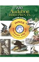 120 Audubon Bird Prints