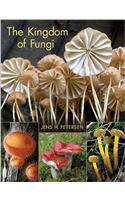 Kingdom of Fungi