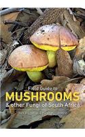 Mushrooms and Other Fungi in South Africa