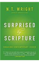 Surprised by Scripture