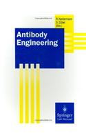 Antibody Engineering