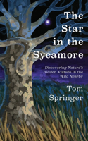 Star in the Sycamore