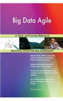 Big Data Agile A Clear and Concise Reference