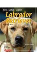 Training Your Labrador Retriever