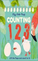 Flip, Flap, Find! Counting 1, 2, 3