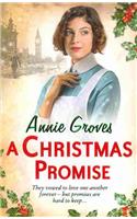 A Christmas Promise