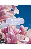 Address Book