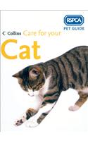 Care for Your Cat